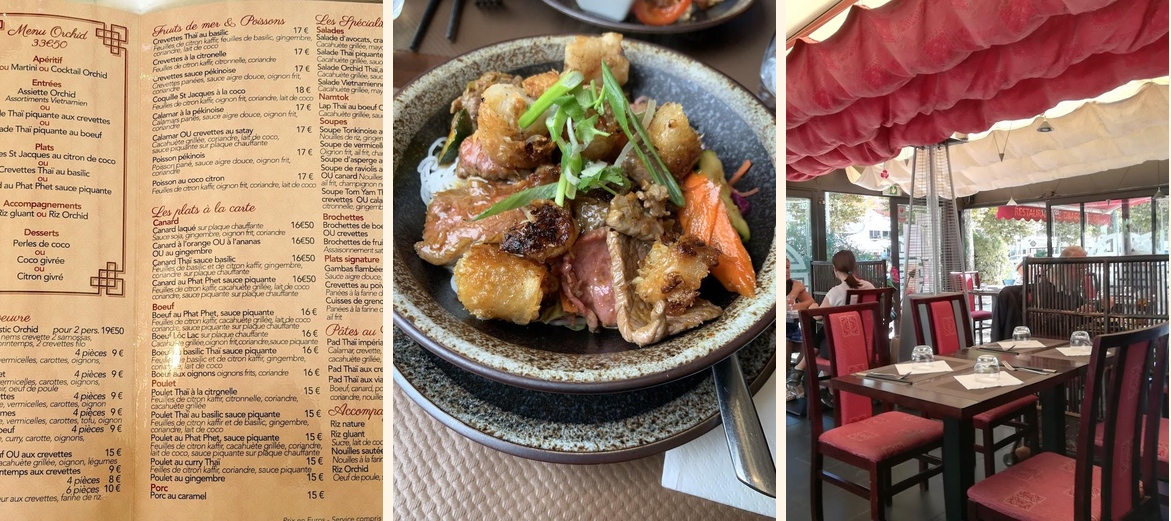 Majestic Orchid - Gallery Image 1